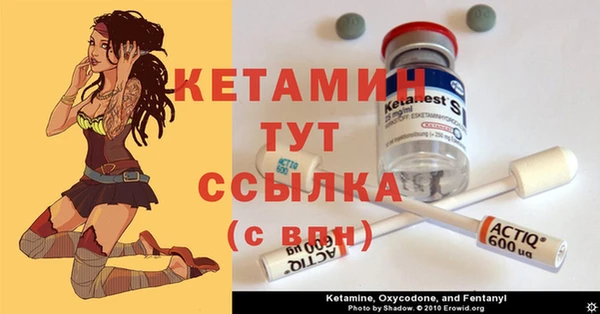 гашик Аркадак