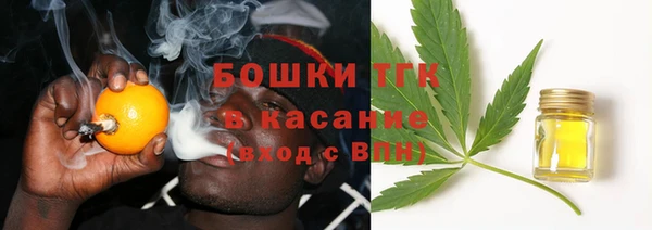 гашик Аркадак