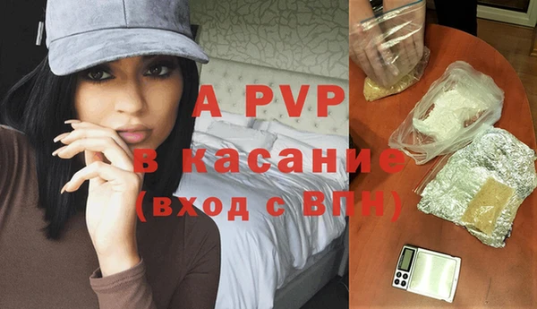 гашик Аркадак