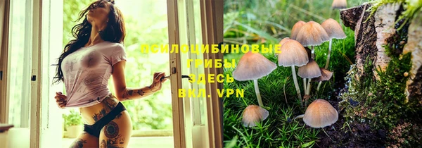 гидропоника Армянск