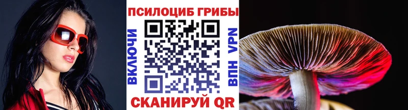 Псилоцибиновые грибы Psilocybine cubensis купить наркотик Уржум