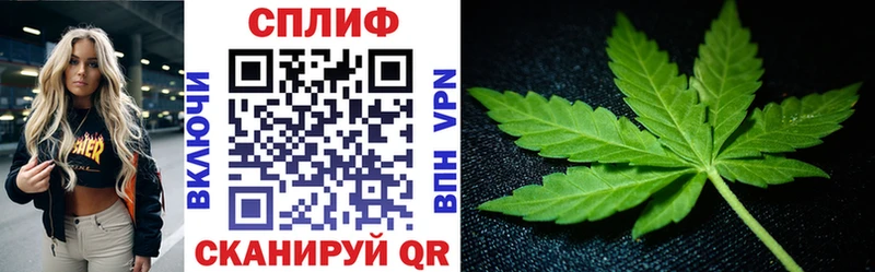 купить наркоту  Уржум  Марихуана индика 